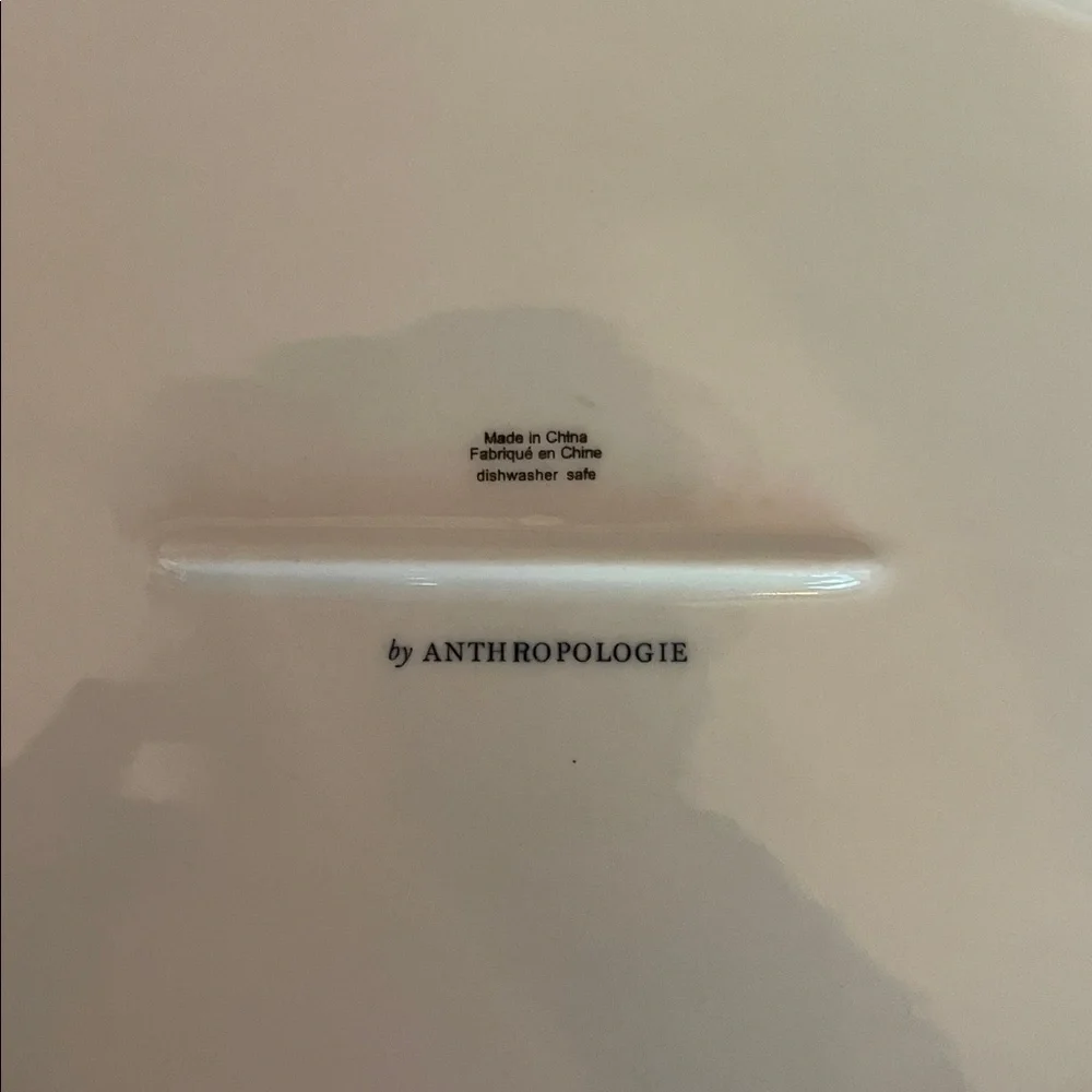 Anthropologie new without